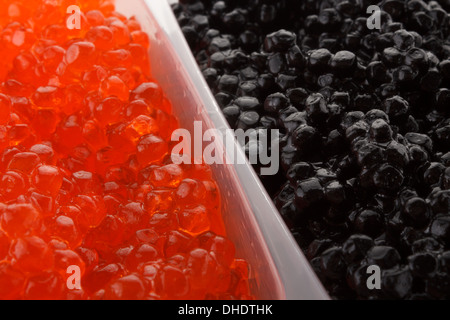 Download Red Caviar In A Plastic Container Isolated On A White Background Path Stock Photo Alamy Yellowimages Mockups