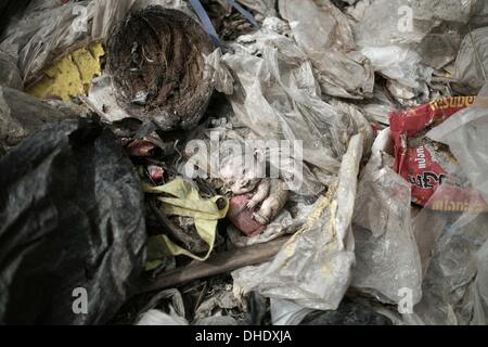 Mae Sot, Tak, Thailand. 7th Nov, 2013. Trash at Mae Sot garbage dump. Tingkaya also known as the City Of Garbage an area roughly the size of a football stadium The poor inhabitants make a living selling recyclable materials like wire, metal, glass, plastic. They heap dwellers survive by eating left-overs and sleep in the same harsh environment which is a breeding ground for bacteria and diseases. Credit:  Rohan Radheya/ZUMA Wire/ZUMAPRESS.com/Alamy Live News Stock Photo