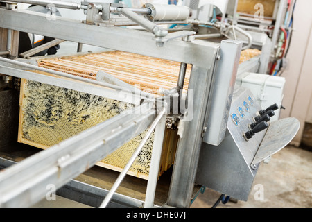 Honey Extraction Plant Stock Photo