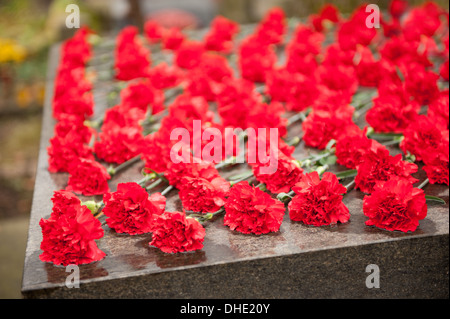 Red cut Dianthus flowers lying on grave Stock Photo