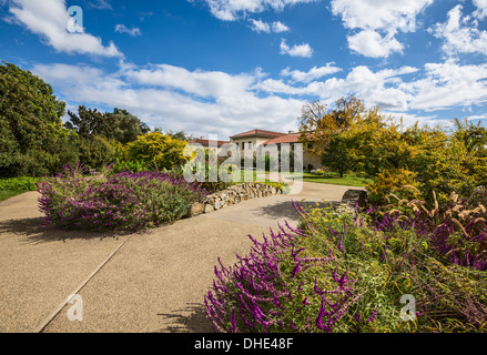 The beautiful Shakespeare Garden in full bloom at the Huntington Library and Botanical Gardens in San Marino, California. Stock Photo