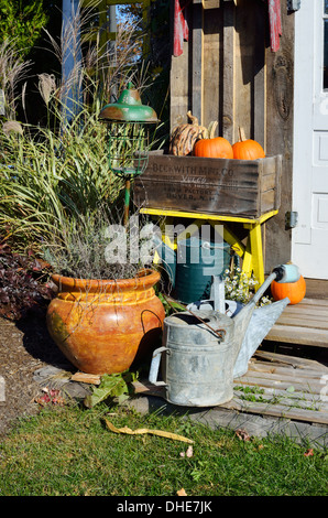 Fall scene with pumpkins Stock Photo - Alamy