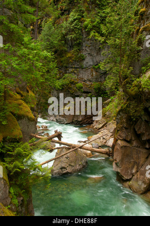 Coquihalla River, Coquihalla Canyon Provincial Park, British Columbia, Canada Stock Photo