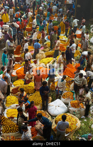 Mullik Ghat flower market, Kolkata (Calcutta), West Bengal, India, Asia Stock Photo