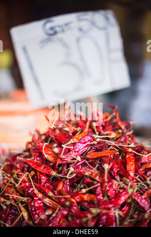 Spicy red chillies, Kandy, Central Province in the Sri Lanka Highlands, Sri Lanka, Asia Stock Photo