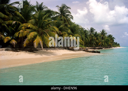 Virgin shore of Kalpeni, Lakshadweep Islands, India, Indian Ocean, Asia Stock Photo
