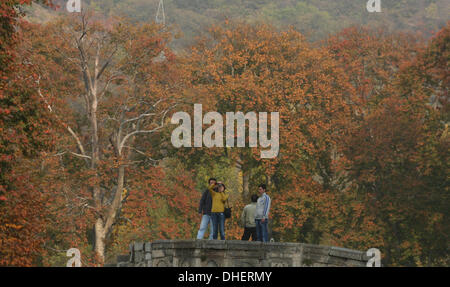 Srinagar, Indian Administered Kashmir 08 November  ForeignTourists take pictures   at Nishat Garden in Srinagar, as winter sets in the region the summer capital of Indian-administered Kashmir(Sofi Suhail/ Alamy Live News) . Stock Photo