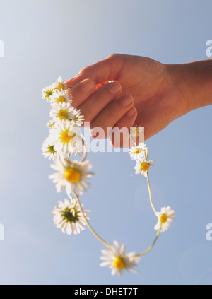 Cropped hand holding daisy chain