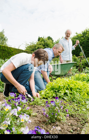 Grandfather, father and son gardening Stock Photo