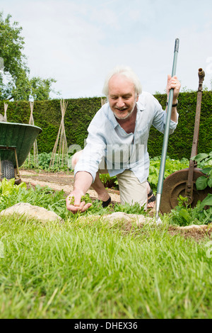 Senior man gardening Stock Photo