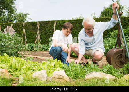 Grandfather and grandson gardening Stock Photo