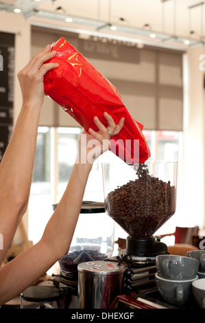 Barista pouring coffee beans into grinder Stock Photo