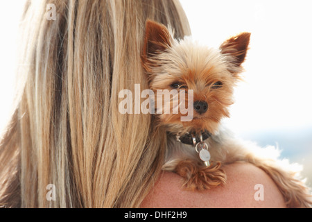 Mature woman holding pet dog over shoulder Stock Photo