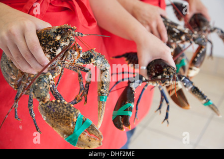 Women holding fresh lobsters Stock Photo