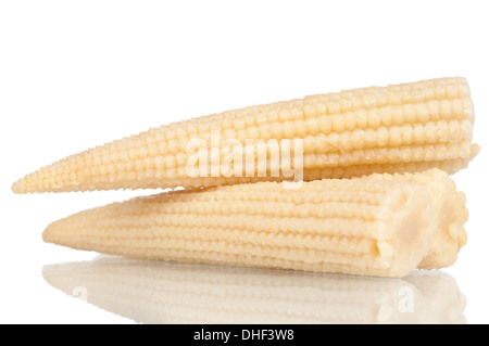 Baby corn Stock Photo