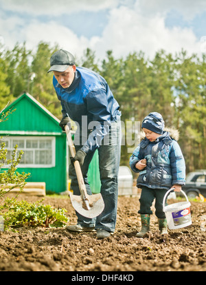 Father and toddler son digging allotment garden Stock Photo