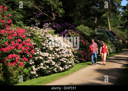 Rhododendrenpark HOBBIE in Linswege near Westerstede, Ammerland, Lower  Saxony, Germany Stock Photo - Alamy