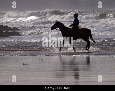 Horse rider on the beach, Bude, Cornwall, UK Stock Photo