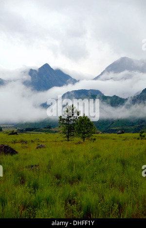 Early morning fog covers Volcan Baru in Chiriqui province Republic of Panama Stock Photo