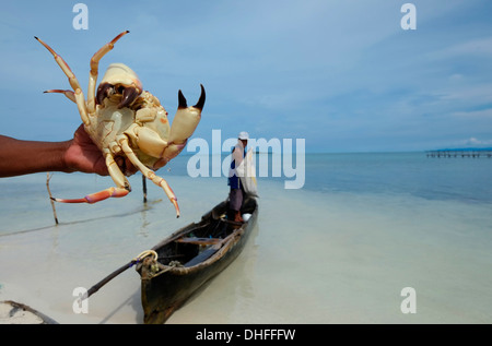 A fisherman from the Guna people holds a giant crab he caught in a small island in the 'Comarca' (region) of the Guna Yala natives known as Kuna located in the archipelago of San Blas Blas islands in the Northeast of Panama facing the Caribbean Sea. Stock Photo