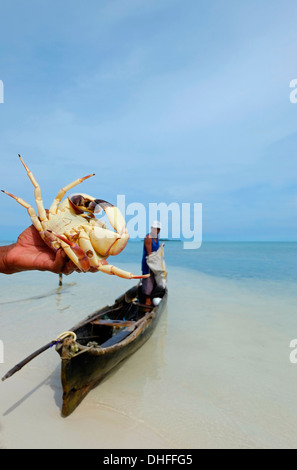 A fisherman from the Guna people holds a giant crab he caught in a small island in the 'Comarca' (region) of the Guna Yala natives known as Kuna located in the archipelago of San Blas Blas islands in the Northeast of Panama facing the Caribbean Sea. Stock Photo