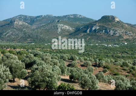 Asien, Türkei, Provinz Mugla, Resadiye-Halbinsel (Datca-Halbinsel), Landschaft im Nordwesten der Halbinsel Stock Photo