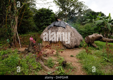 Straw huts of the Ngabe & Bugle native ethnic group located in the Comarca Quebrado region, Guabo reservation in Chiriqui province Republic of Panama Stock Photo