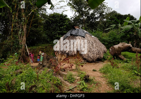 Straw huts of the Ngabe & Bugle native ethnic group located in the Comarca Quebrado region, Guabo reservation in Chiriqui province Republic of Panama Stock Photo