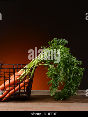 Fresh picked carrots in a wire basket with a light to dark warm background. Stock Photo