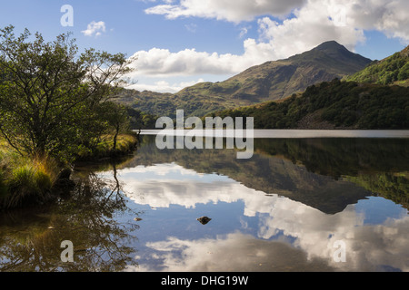 Yr Aran mountain reflected in still waters of Llyn Gwynant lake in mountains of Snowdonia, Nant Gwynant, North Wales, UK Stock Photo