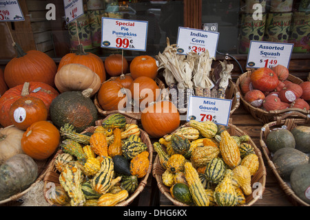 Food market display of autumn squashes, gourds and pumpkins in Manhattan, NYC. Stock Photo