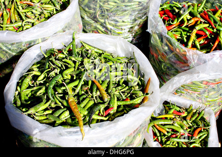 A mixed pile of chili peppers in a wholesale market Stock Photo