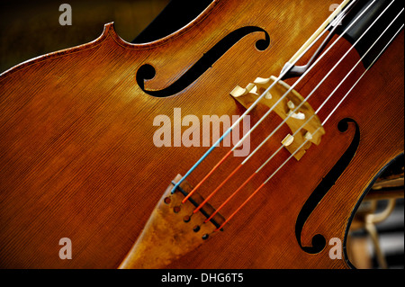 Detail of a double bass string music instrument Stock Photo