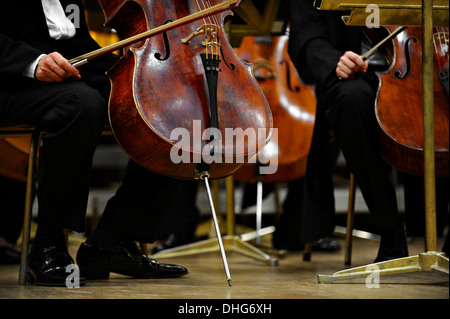 Double bassists members of an orchestra are preparing for concert Stock Photo