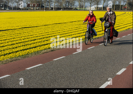 Mature couple cycling by flower field, Netherlands Stock Photo