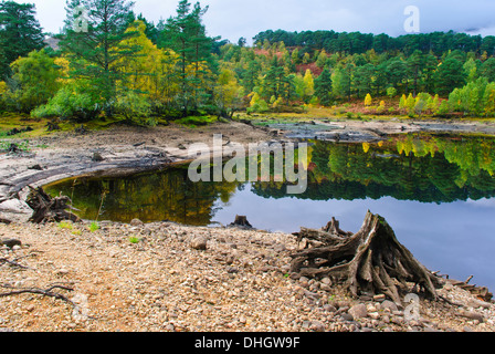 Autumn in Glen Affric, Inverness shire, Scotland Stock Photo