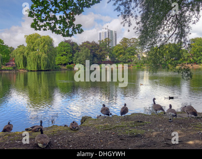 The Arbo, Walsall town Arboretum park pond , West Midlands England , UK Stock Photo