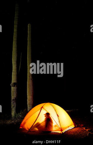Man silhouette in glowing tent at night with saguaro cactus in background. Organ Pipe Cactus National Monument, Arizona USA Stock Photo