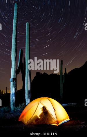 Man silhouette in glowing tent at night with saguaro cactus and star trails. Organ Pipe Cactus National Monument, Arizona. Stock Photo