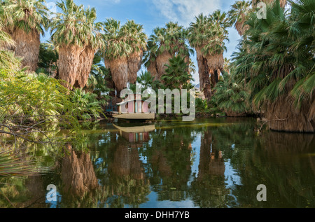 California, Twentynine Palms, 29 Palms Inn, on the Oasis of Mara, pond, houseboat Stock Photo