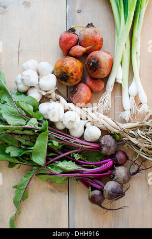 Fresh, homegrown vegetables Stock Photo