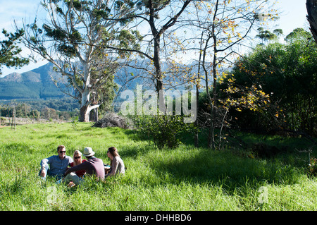 Group of friends having picnic in long grass Stock Photo
