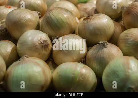 Onions on Display at Farmer's Market Stock Photo