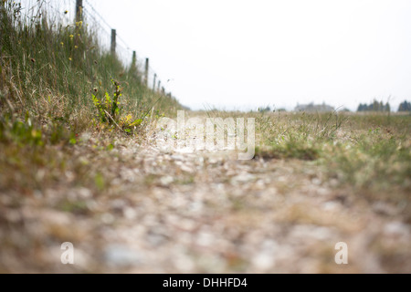 low-level view of grassy natural path along wire fencing coastal Seasalter, Kent, England, UK Stock Photo