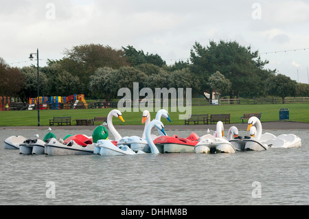 Swan boats on the lake in Boston Common, Boston ...