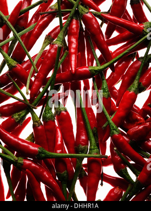 Red chillis, full frame Stock Photo