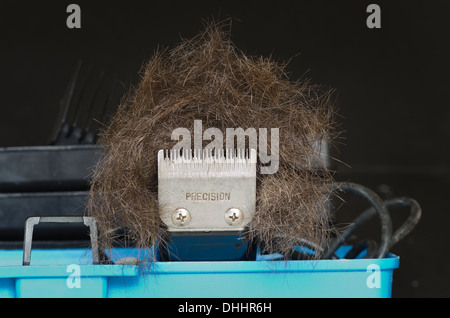 bad hair day style cut piled up onto hair clippers in shape of face Stock Photo