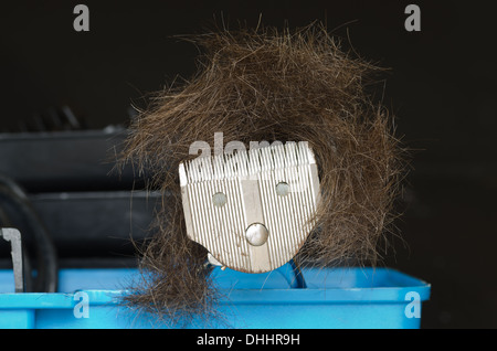 bad hair day style cut piled up onto hair clippers in shape of face Stock Photo