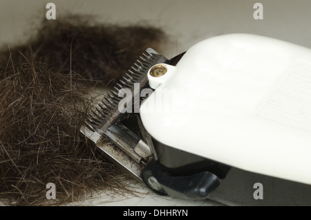 clippers barber and hair clipper with cut hair from haircut trim short Stock Photo