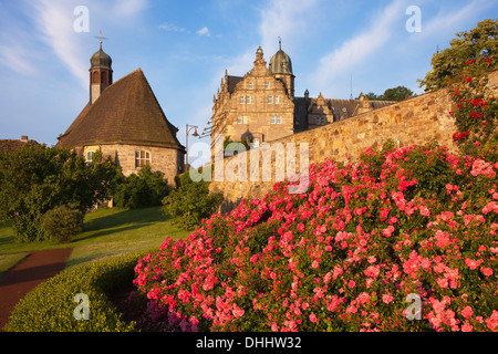 Roses at the gardens of Haemelschenburg castle, church St Mary, Emmerthal, Weser Hills, North Lower Saxony, Germany, Europe